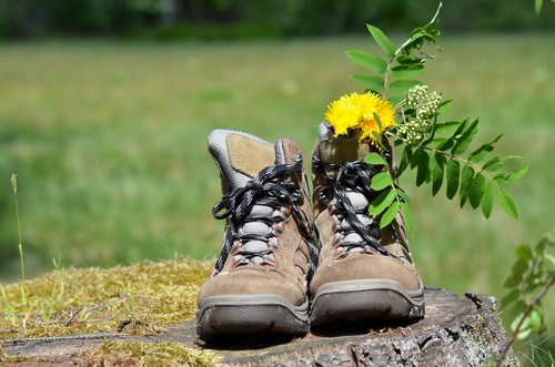 Wanderschuhe mit einer Blume stehen auf einem Stein