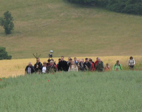 Eine Gruppe von Menschen läuft durch Felder und grüen Wiesen.