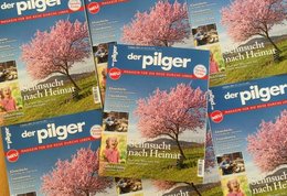 Auf dem Titelbild des Pilger Magazin sieht man einen blühenden Mandelbaum.